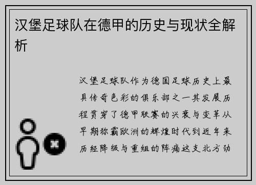 汉堡足球队在德甲的历史与现状全解析